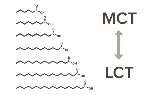 what is mct oil