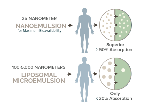 Nano emulsifed vs liposomal