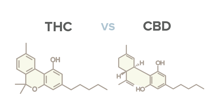 Blog Image What Does CBD Stand For