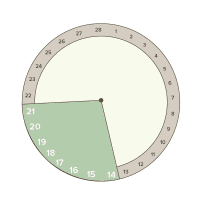 ovulatory phase menstrual cycle