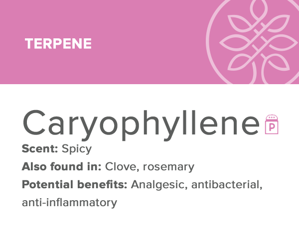 caryophyllene