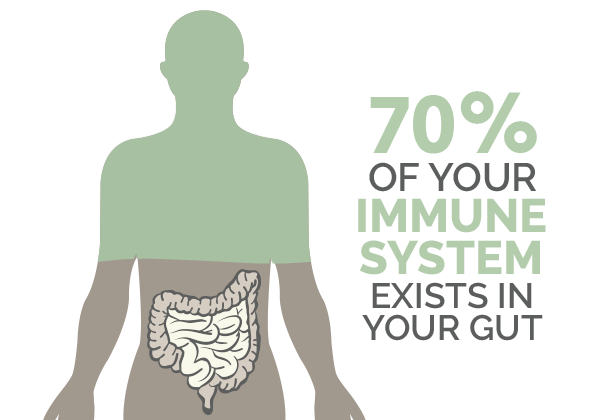 immune system in your gut 