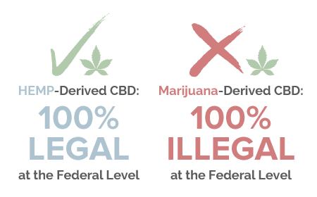 Marijuana and Hemp-derived CBD 