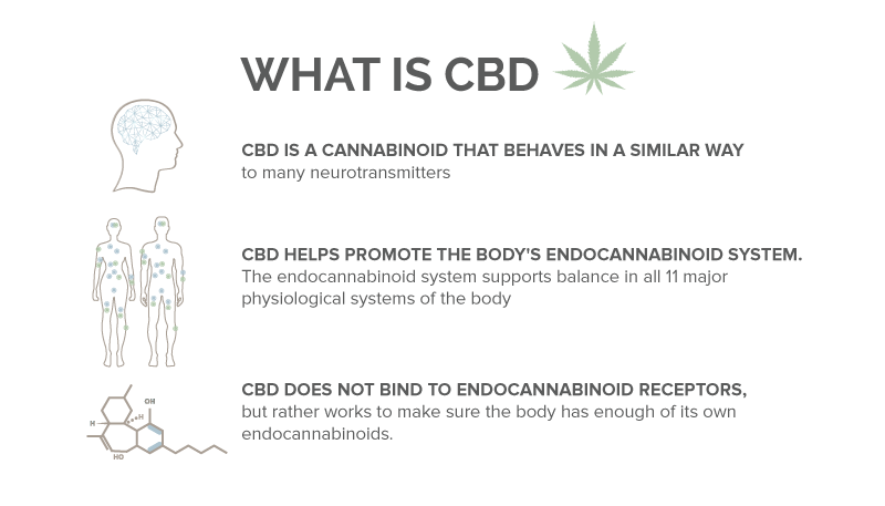 What is CBD