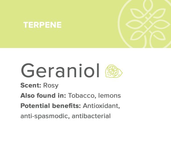 geraniol