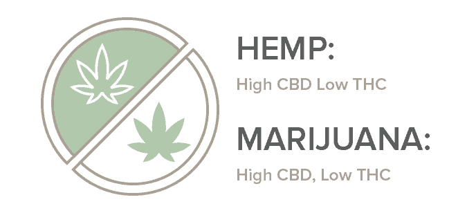thc vs cbd marijuana vs hemp
