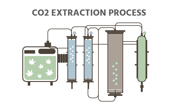 CO2 Extraction process