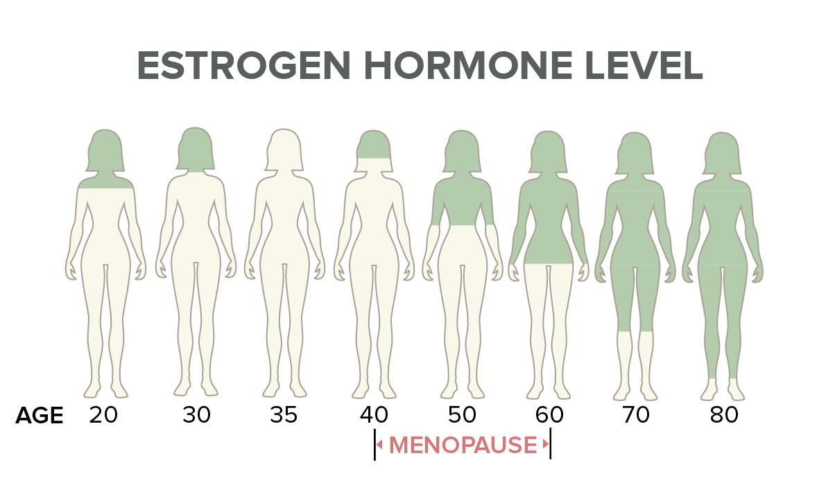 Estrogen Hormone Level Between Ages