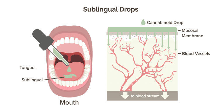 bioavailability of sublingual cbd