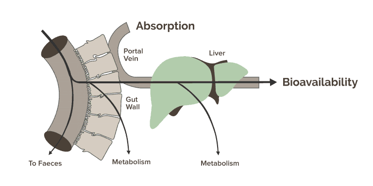 bioavailability of oral cbd