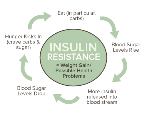 Insulin Resistance