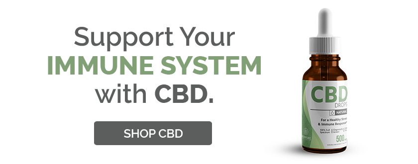 cbd for immunity