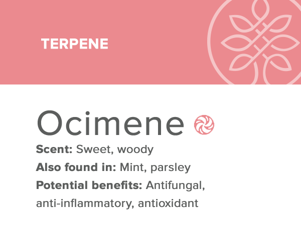 ocimene