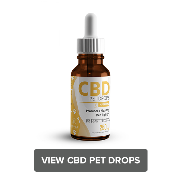 Shop CBD Pet Drops