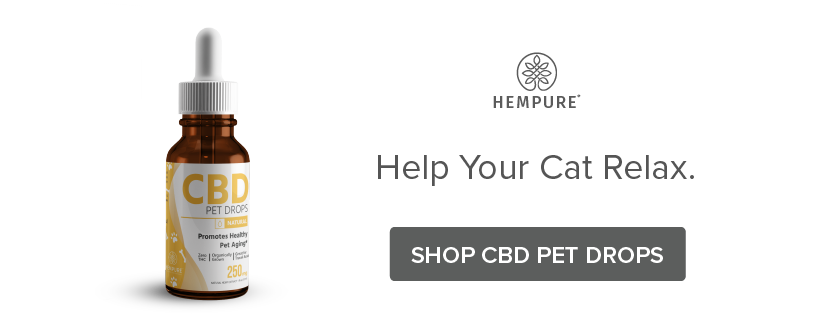 Help your cat relax with CBD Pet Drops