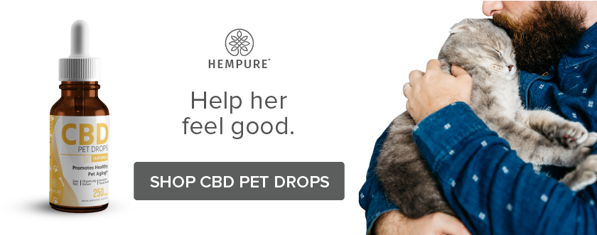 cbd drops for cats