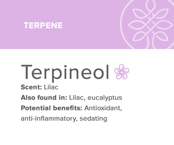 terpineol