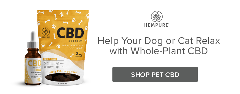 Help Your Dog or Cat to Relax with CBD Pet Drops