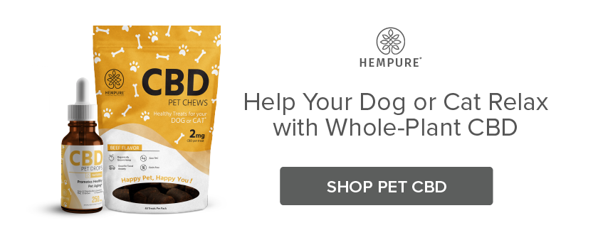 Help Your Dog or Cat to Relax with CBD Pet Drops