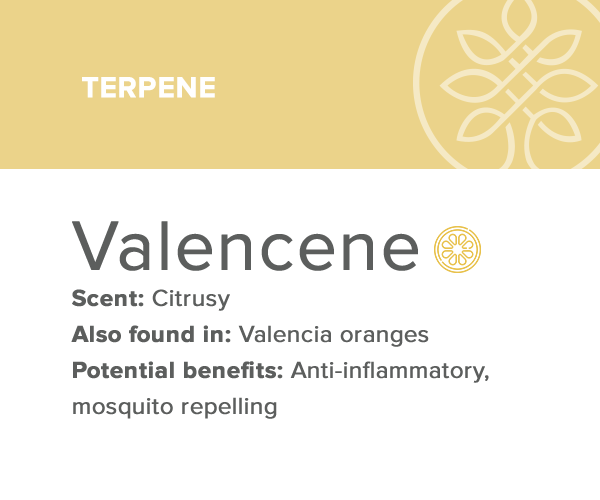 valencene