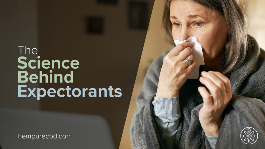 The Science Behind Expectorants: How Do They Work?