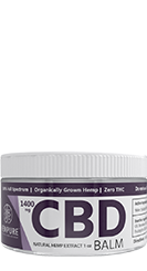 CBD Balm